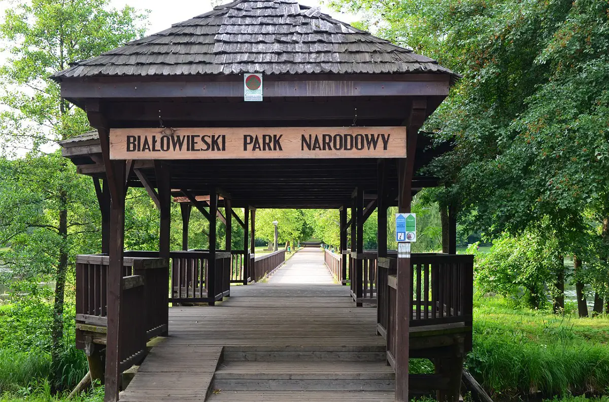 Parc national de Bialovèse, à la frontière de la Pologne et la Biélorussie